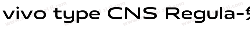 vivo type CNS Regula字体转换